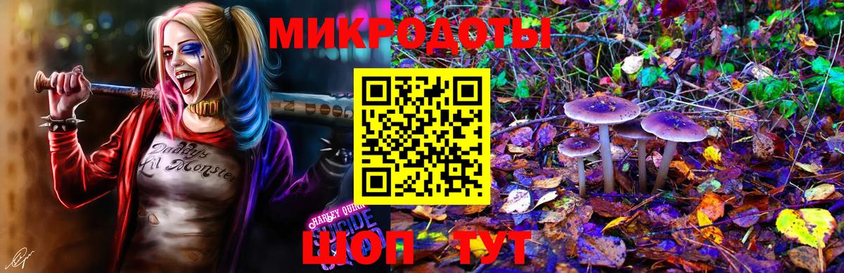 Псилоцибиновые грибы Magic Shrooms  Галлюциногенные грибы Magic Shrooms  Лабинск  Вход с VPN 